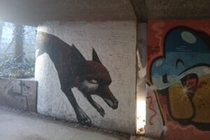 Der Hunf in der Graffiti Galerie